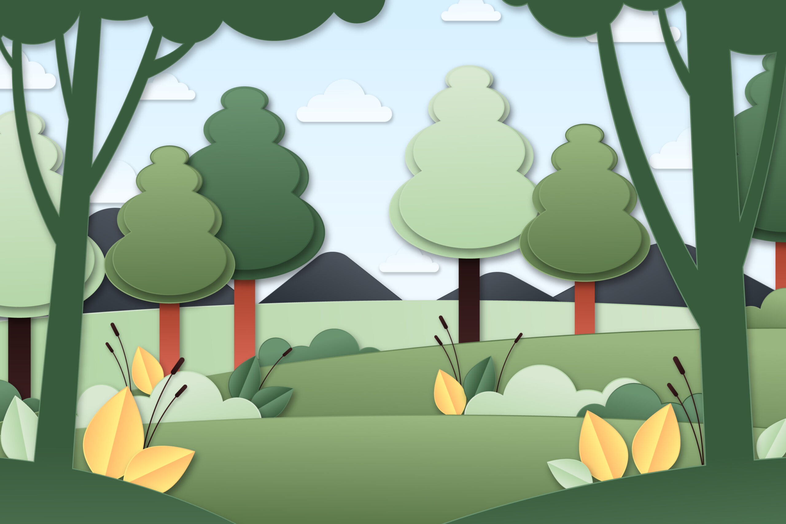 Understanding FSC Packaging: What It Means and Why It Matters