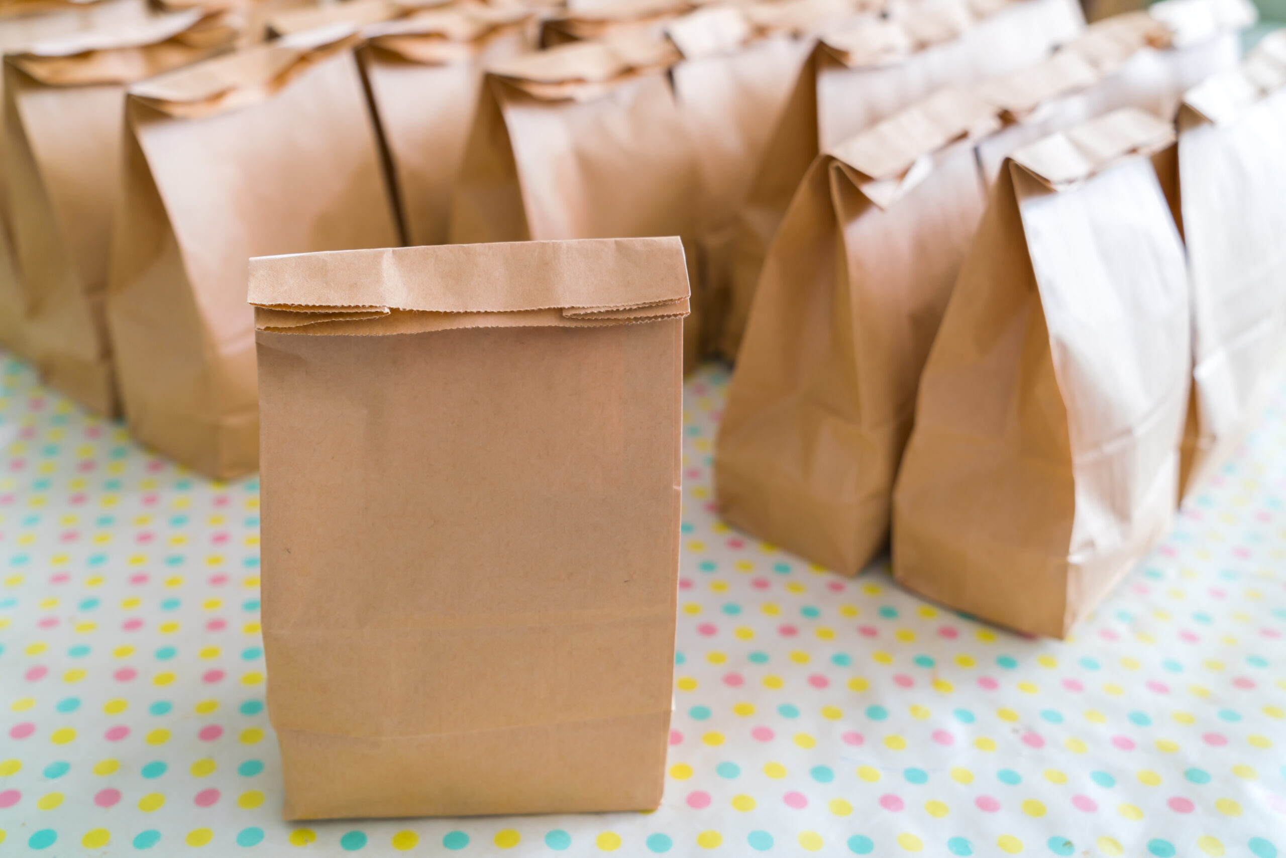 kraft paper grocery bags